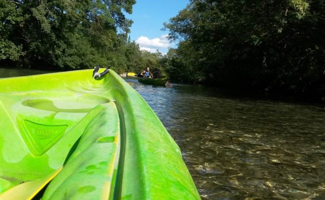seminaire_isle_sur_sorgue
