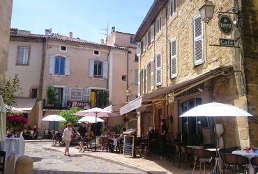 Le défi provençal, le team building au son des cigales