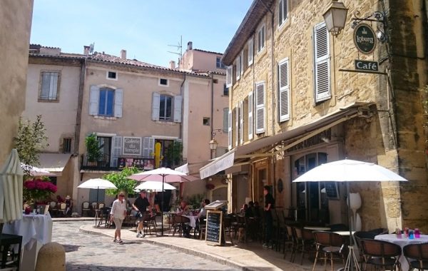 Le défi provençal, le team building au son des cigales