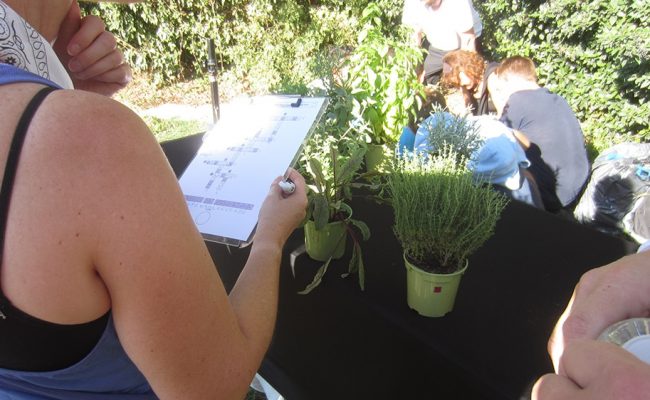 animation-seminaire-entreprise-avignon