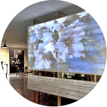 activité séminaire culinaire Aix en Provence