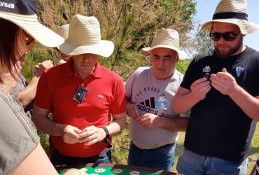 Team building oenologie