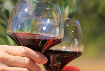 Il était une fois Châteauneuf du Pape