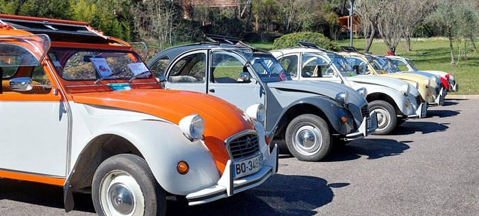 activité séminaire 2cv en Provence