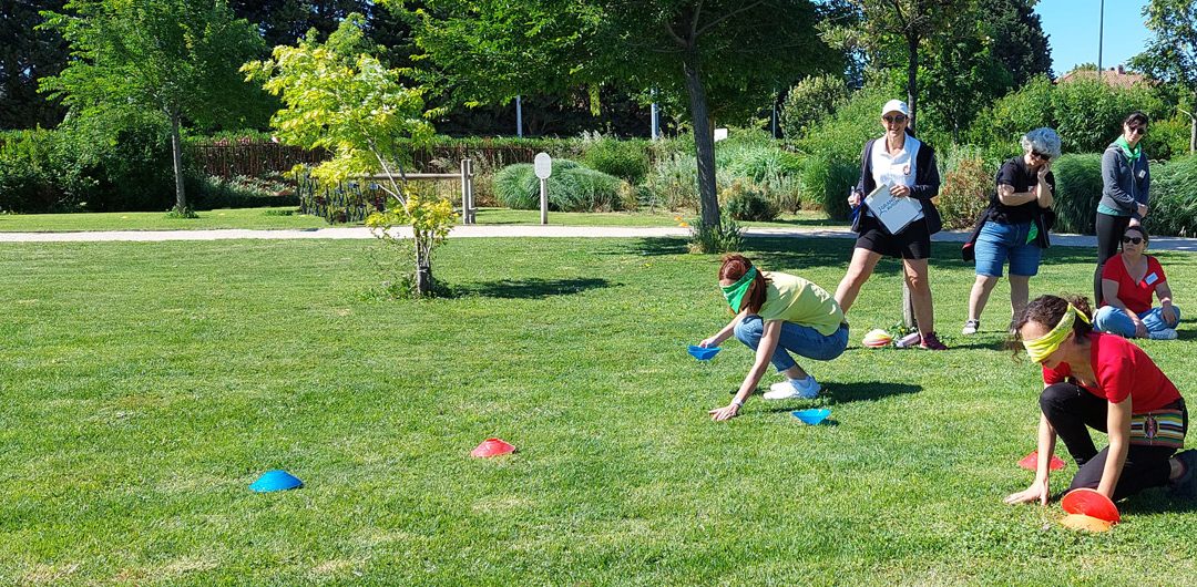Devenez Aventurier : Les Team Building qui développent l&rsquo;entraide et le leadership en 2026